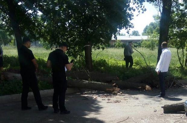 Четверо дітей госпіталізовані в лікарню, попередньо в однієї дитини перелом гомілки, у решти забої