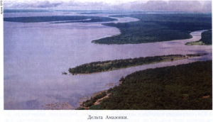 Ухил Амазонської низовини незначний, тому океанічні припливи поширюються на 1000 км вгору по річці (найбільша   величина   серед річок світу)