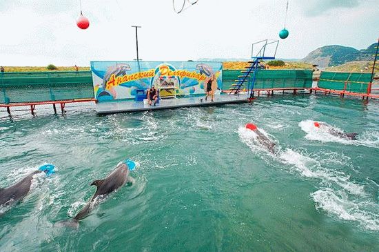 Ви можете відвідати дельфінарій з   екскурсією   на Великий Утріш
