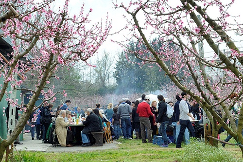 У пасхальний понеділок італійці за традицією відправляються на заміські пікніки з друзями чи сусідами