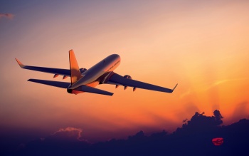 Керівництво грозненського аеропорту веде переговори з авіаперевізниками щодо відкриття регулярних рейсів до Сімферополя і Сочі, повідомив в інтерв'ю ТАСС гендиректор аеропорту Султан Гамбулатов, - передає   Керч