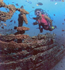 Зона занурень у Мавпячого пляжу (Манкі-Біч) цікава тридцятип'ятиметрової дерев'яним транспортним судном, що затонув в 1993 р За цей час воно сильно обросла безліччю м'яких коралів, зустрічаються тунець, тригер, морські змії, риби-жаби (рибалки), морські зірки