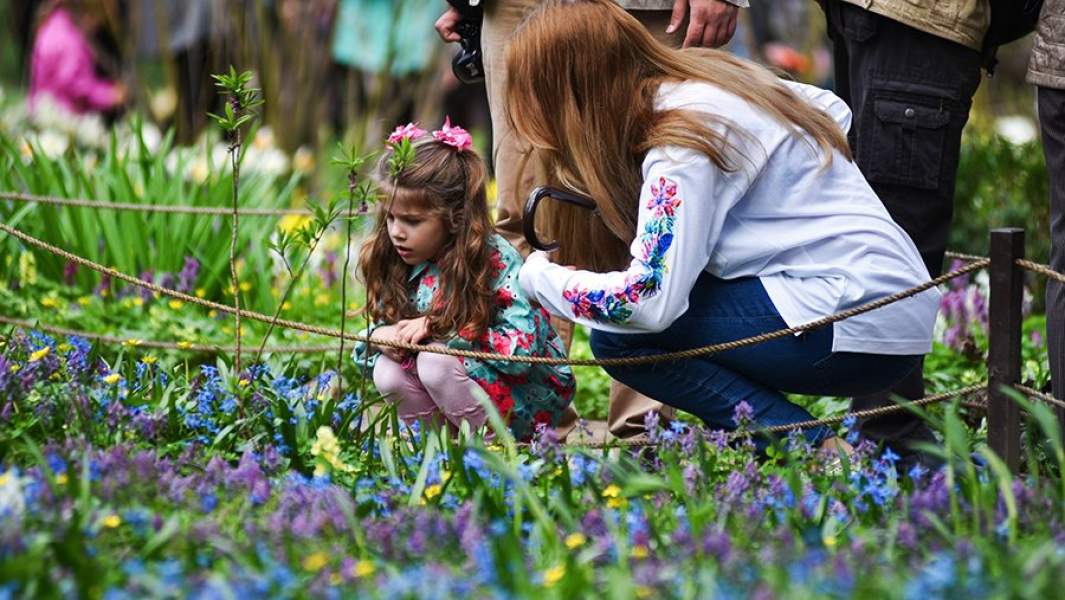 Подивитися   повну програму   можна на сайті «Аптекарського городу»