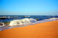 Азовське море вважається одним з найбільш мілководних в світі - його середня глибина становить 13,5 метрів