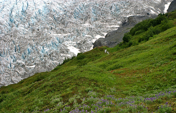 Також льодовик можна використовувати для орієнтації, особливо на початковій ділянці, прокладеному в лісі