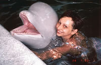 Політ моїх улюблених на дельтаплані я спокутувала плаванням на білому кита в Партенітської дельфінарії