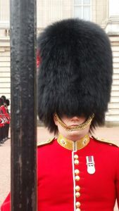 Церемоніальний головний убір британської гвардії називається a bearskin, висотою 45